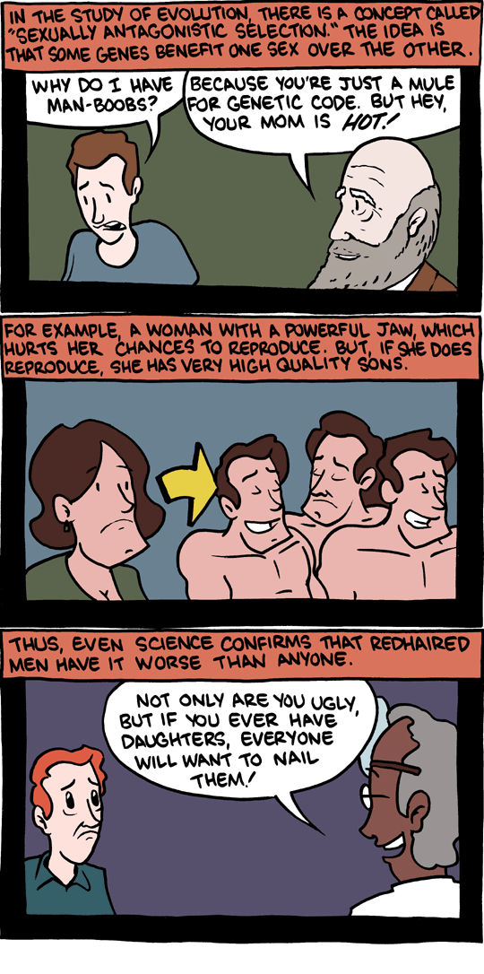 http://www.smbc-comics.com/comics/20101226.gif