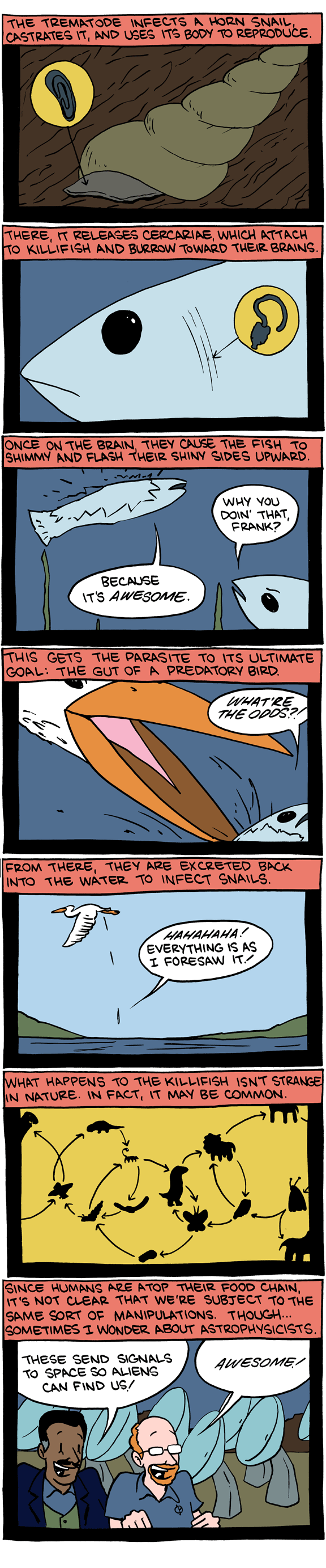 http://www.smbc-comics.com/comics/20110808.gif